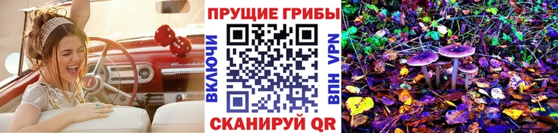 Псилоцибиновые грибы Psilocybine cubensis  Мосальск 